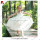 JannyBB white embroidery eyelet lace girls dress